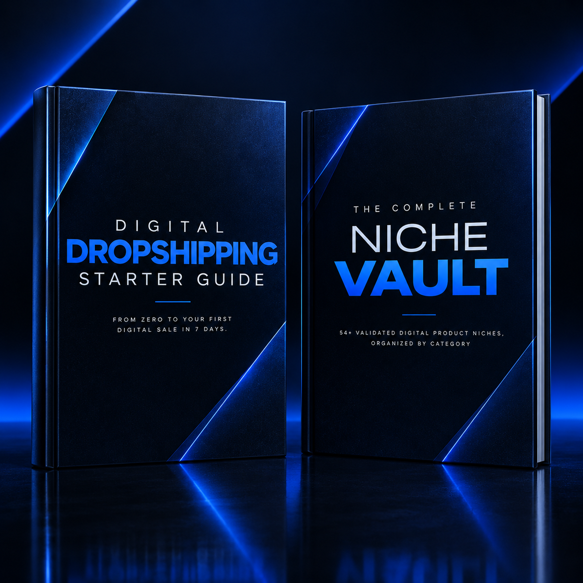 Digital Dropshipping Starter Bundle (Guide + Niche Vault)